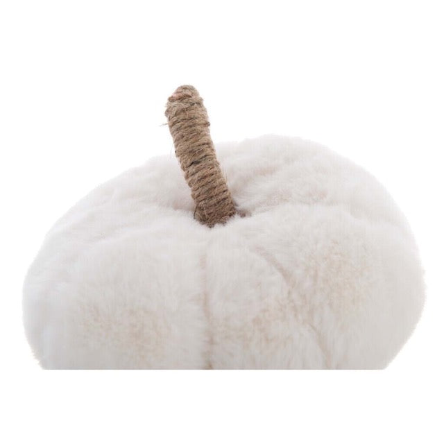Zucca bianca grande