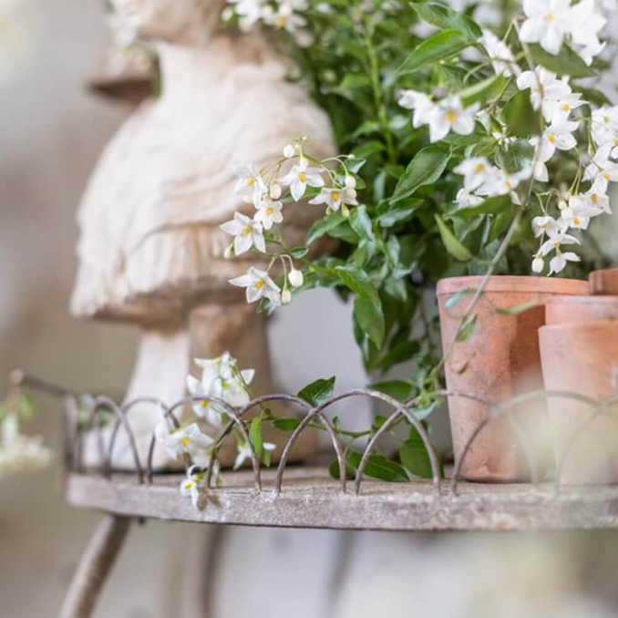 Console da parete con etagere
