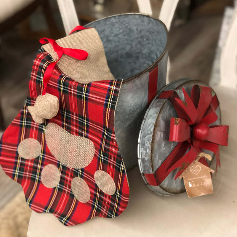 SET regalo Calza