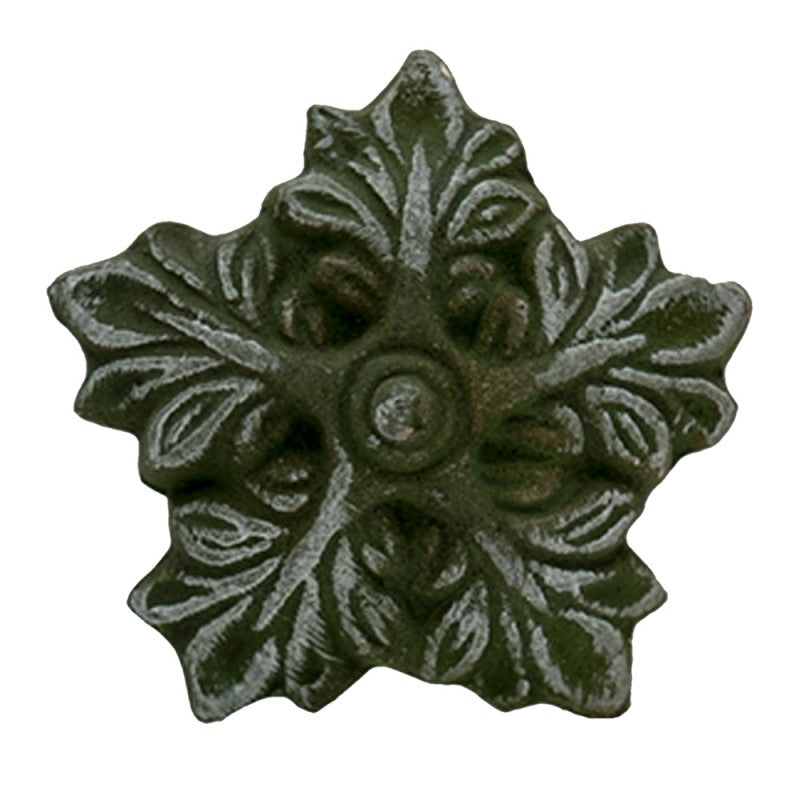 Pomello foglia verde