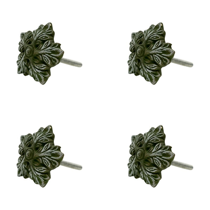 Pomello foglia verde
