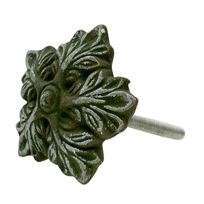 Pomello foglia verde