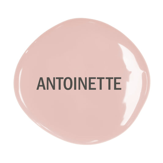 Antoinette Chalk Paint